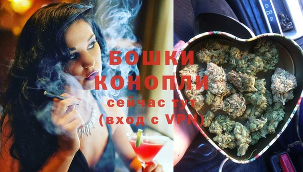 PSILOCYBIN Навашино