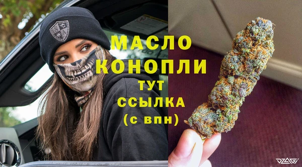 мдпв Бородино