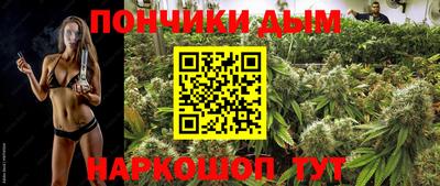стафф Заводоуковск