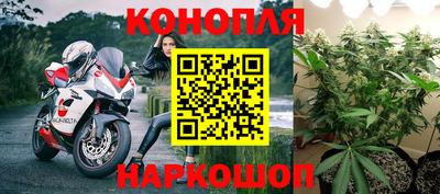 стафф Заводоуковск